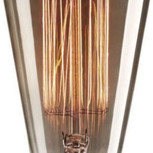 Λάμπα Αβοκάντο Edison Vintage Dimmable 40W E27 0302191